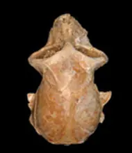 Primitivo ancestro tenía el cerebro más pequeño de lo pen