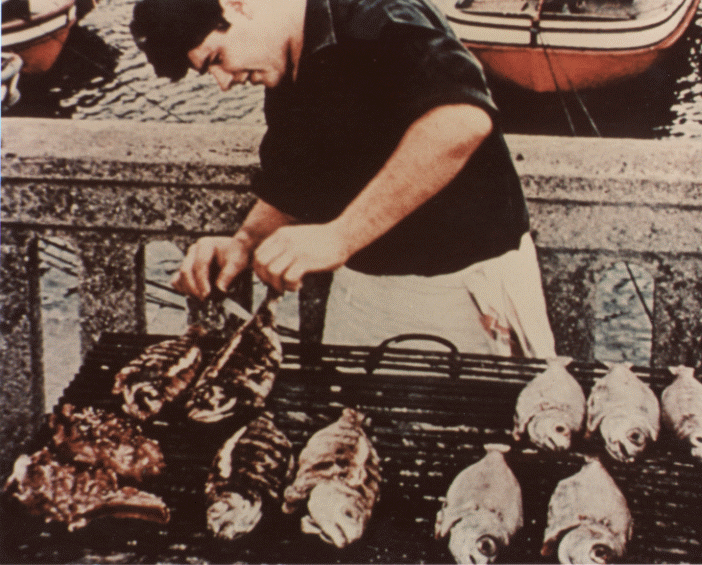 El pescador de estrellas