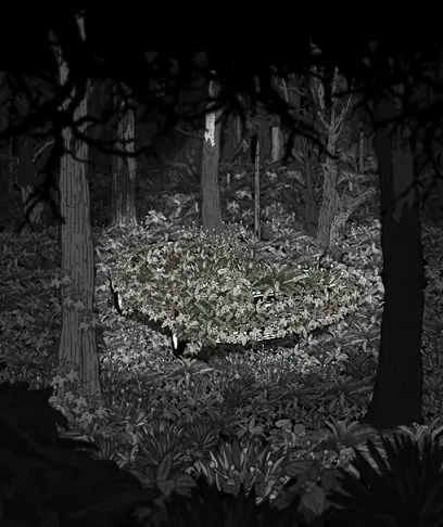 Hoogerbrugge: surrealismo digital