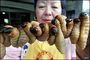 ¿Y por qué no intentarlo con los insectos?