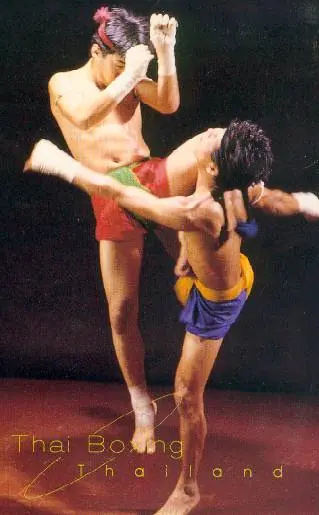 Muay Thai (lo mejor para el final)