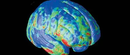 Los altruistas piensan más