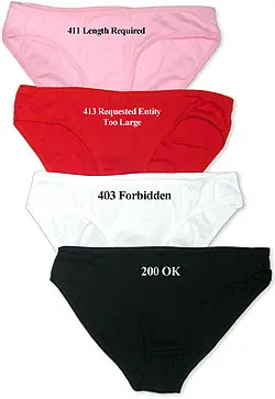 HTTPanties para un San Valentín Geek
