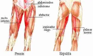 Para los que hacen deportes