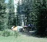 Megapost como acampar y trucos para el asado