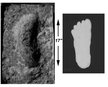 Pie Grande (BigFoot)
