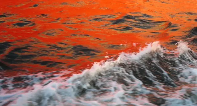 ¿De verdad es rojo el Mar Rojo?