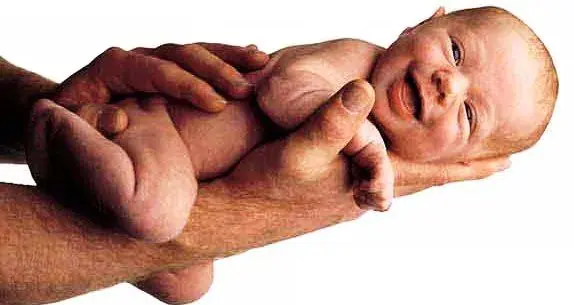 Simulador de Esperanza de Vida