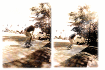 Curso Bàsico - skateboarding