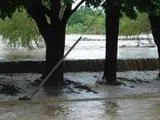Anaconda en poza rica veracruz