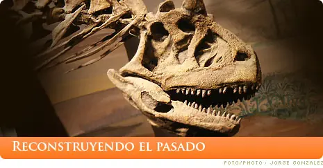 paleontologia