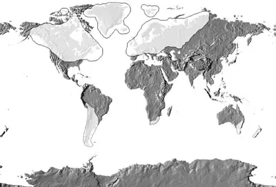 Una Nueva Edad de Hielo