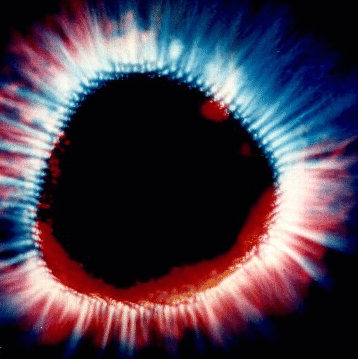 El Aura