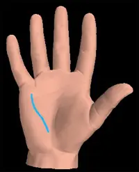 ¡Conoce tu destino mirandote la mano! ¡Muy facil!