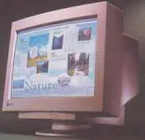 Aprende a elegir Un Buen Monitor