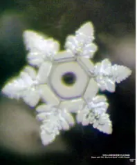 Mensajes del Agua (Masaru Emoto)
