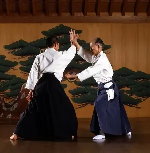 artes marciales