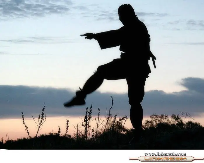 Ninjas