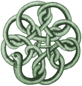 La serpiente Kundalini