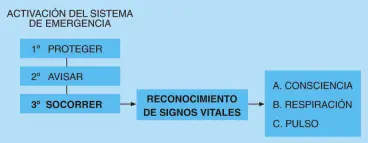 Primeros auxilios [completísimo]
