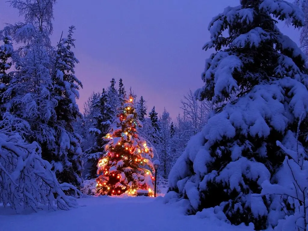 La Verdad de la Navidad