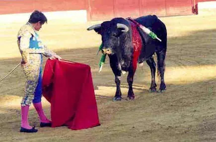 Maltrato de animales: Matar por diversión.