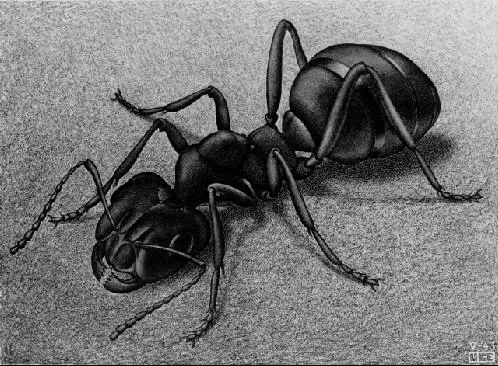 Escher