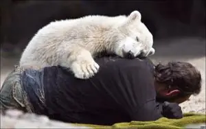 Las 10 mejores historias de animales del 2007