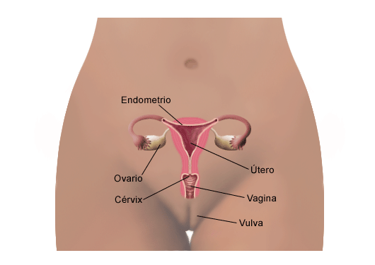 Cancer de cuello de Útero