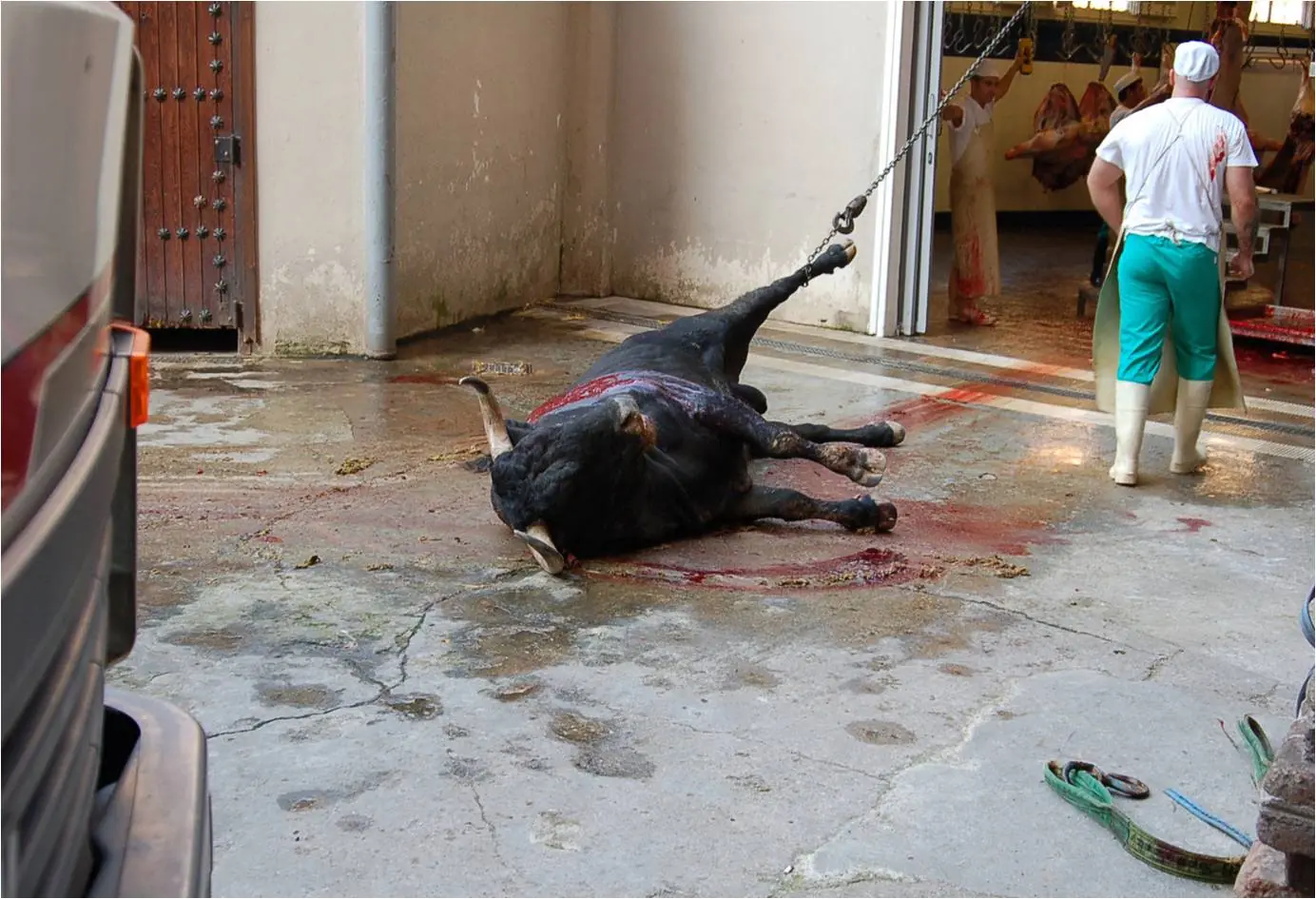 El arte de la tortura