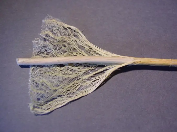 Cañamo (fibra de la marihuna) sus usos y ¿que es?