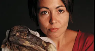 Cómo hacer un Dodo
