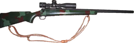 Megapost Armas de Fuego 2