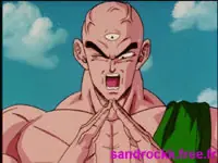 ten shin han hstoria