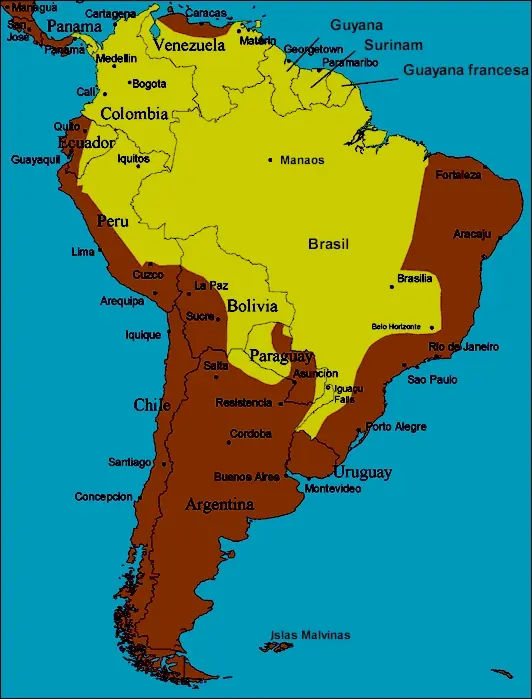 Fiebre Amarilla..Que es ?