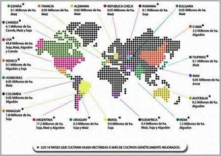 el mundo segun Monsanto-transgenicos peligrosos