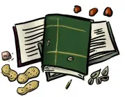 Cómo mejorar la memoria