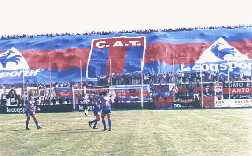 Tigre, Ejemplo de juego en equipo