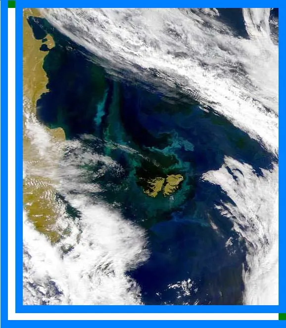 Yo soy argentina y vos?