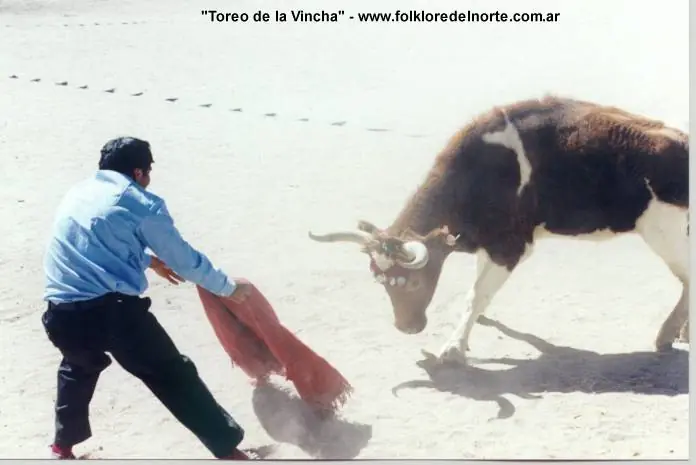 de toros del país