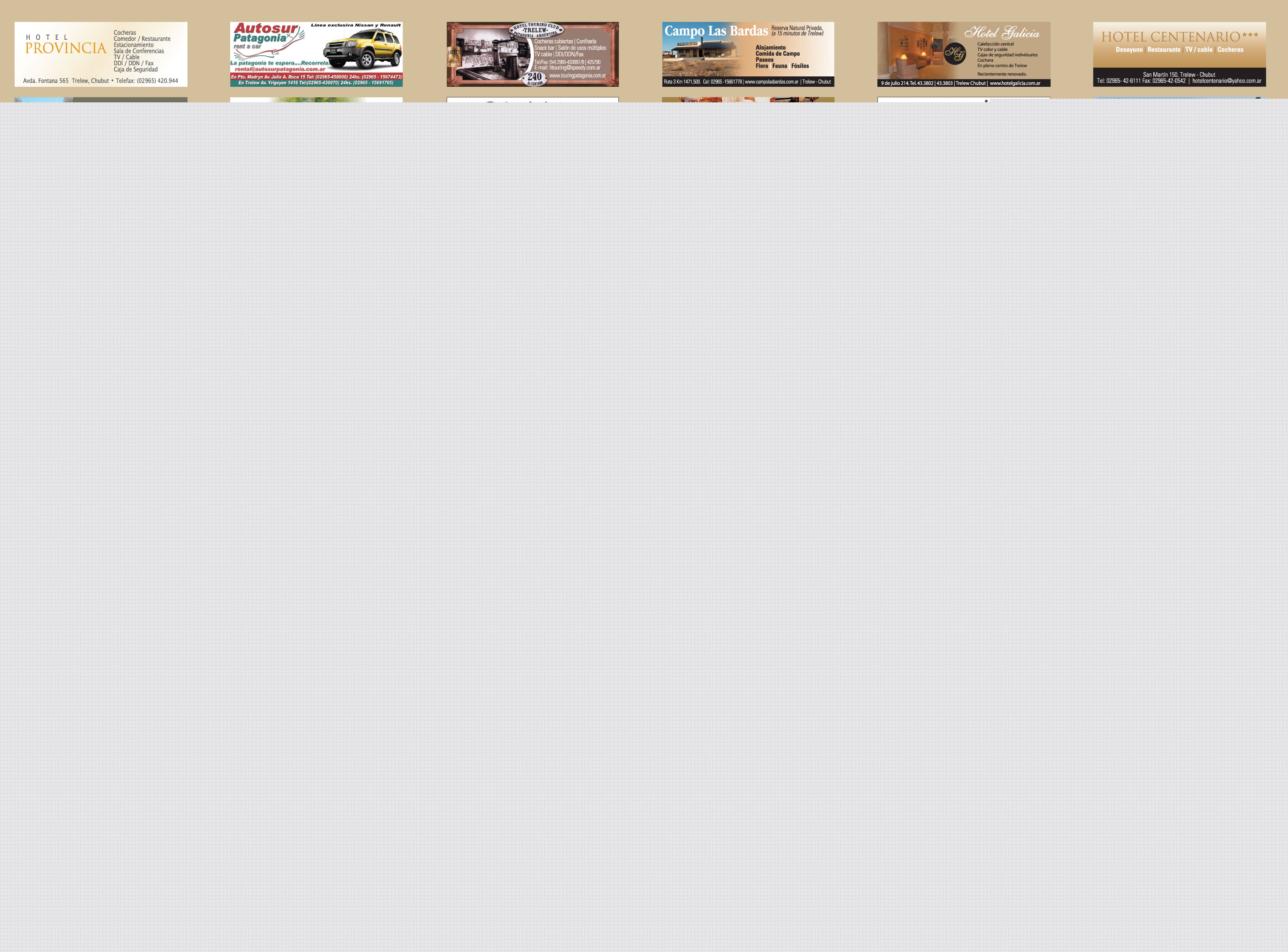 Punta Tombo reabre sus puertas: ya vuelven los Pingüinos!