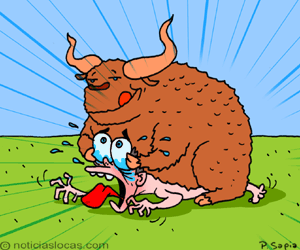 Lo monto un toro cariñoso!