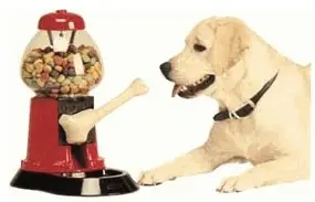 Inventos curiosos y graciosos