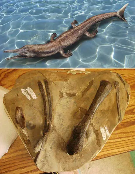 Cocodrilo Jurásico, encontrado en Oregon.
