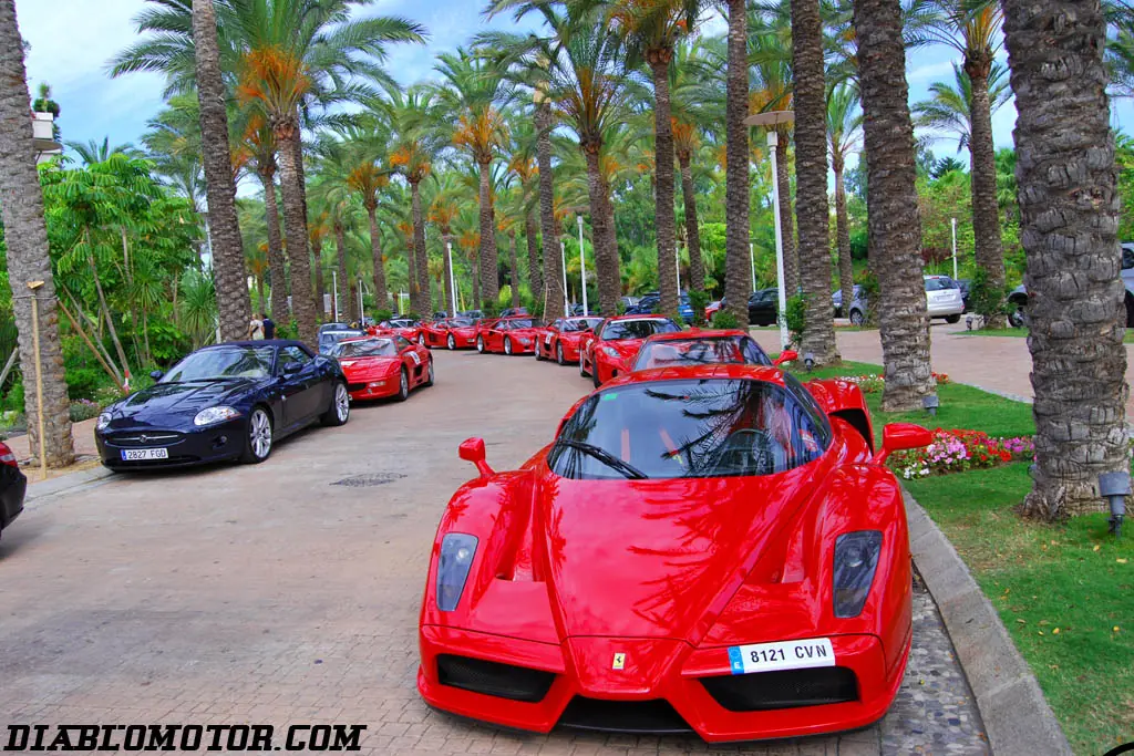 Exotic Car Rally