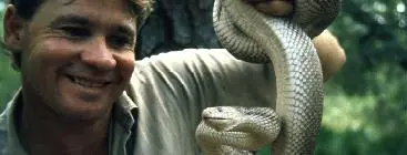 El cazacocodrilo