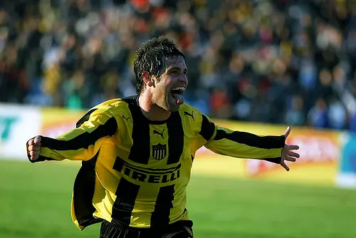 Fuerza Peñarol