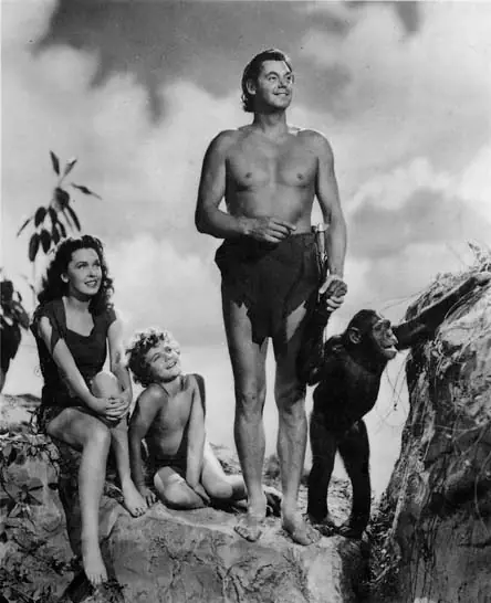 Animales amaestrados del cine