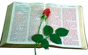 descarga mp3 LA Biblia: Nuevo Testamento Salmos y Proverbios