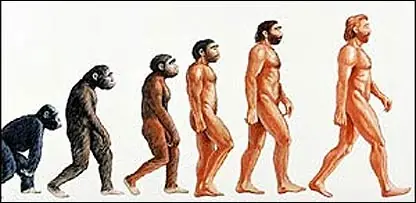 Llego el Fin de la Evolucion Humana